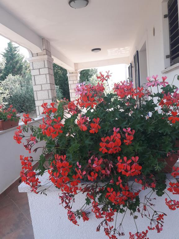 Appartamento Angela *