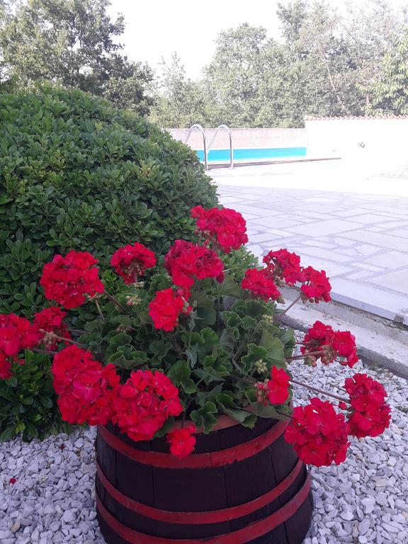 Appartamento Angela *